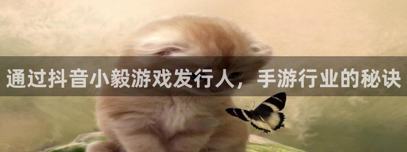 顺盈娱乐登录平台下载：通过抖音小毅游戏发行人，手游行业的秘诀