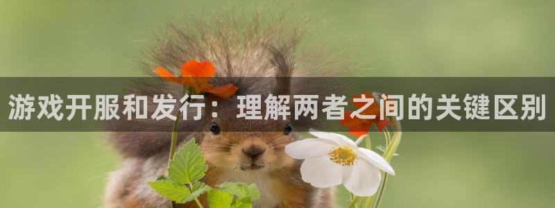 顺盈注册：游戏开服和发行：理解两者之间的关键区别