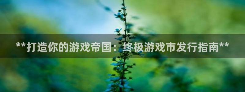 顺盈娱乐官网首页网址是什么：**打造你的游戏帝国：终极游戏市发行指南**