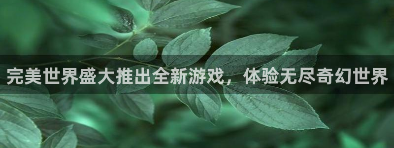顺盈平台注册资金多少合适：完美世界盛大推出全新游戏，体验无尽奇幻世界
