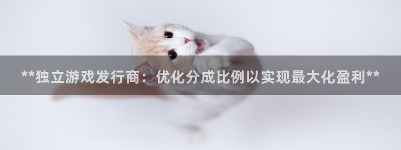 顺盈娱乐登录平台是什么平台：**独立游戏发行商：优化分成比例以实现最大化盈利**