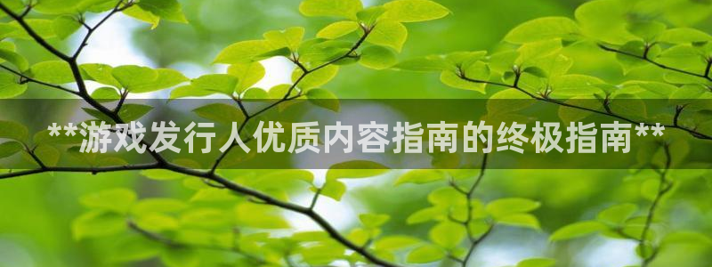 顺盈平台怎么样可靠吗：**游戏发行人优质内容指南的终极指南**
