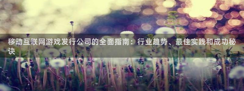 顺盈平台怎么样：移动互联网游戏发行公司的全面指南：行业趋势、最佳实践和成功秘
诀