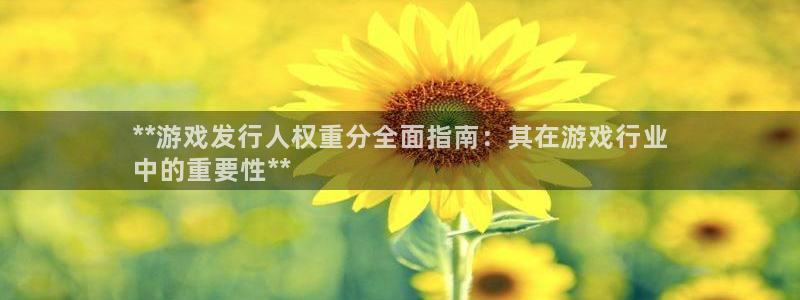 顺盈娱乐用什么加速器可以登录账号和密码：**游戏发行人权重分全面指南：其在游戏行业
中的重要性**