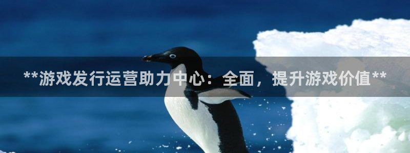 顺盈平台注册流程视频：**游戏发行运营助力中心：全面，提升游戏价值**