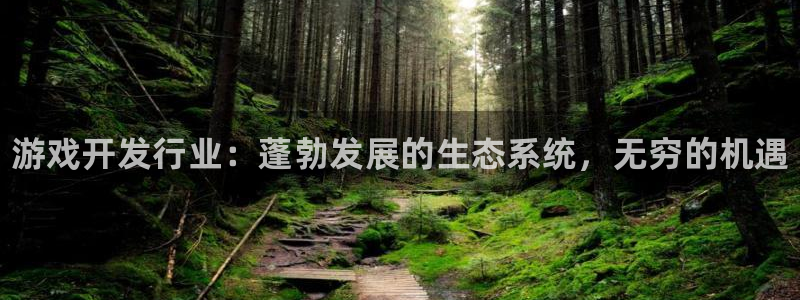 顺盈平台注册地址在哪查：游戏开发行业：蓬勃发展的生态系统，无穷的机遇