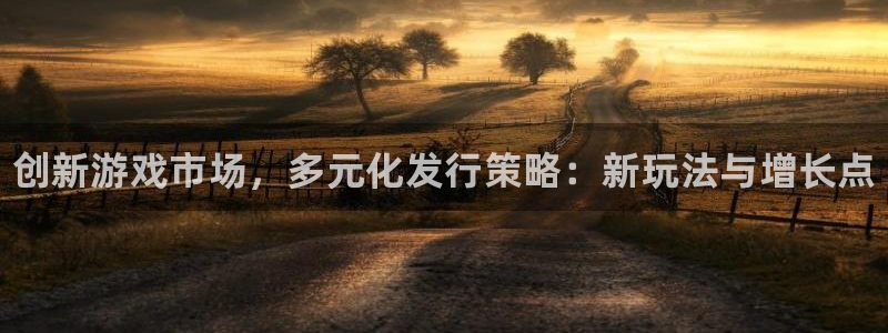 顺盈娱乐官网首页入口网址