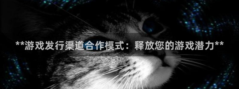 顺盈app是什么东西：**游戏发行渠道合作模式：释放您的游戏潜力**