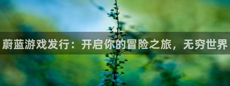 顺盈娱乐登录平台下载官网苹果：蔚蓝游戏发行：开启你的冒险之旅，无穷世界