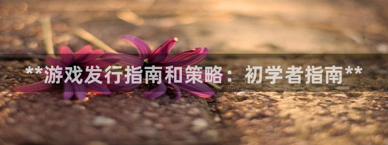 顺盈电子：**游戏发行指南和策略：初学者指南**