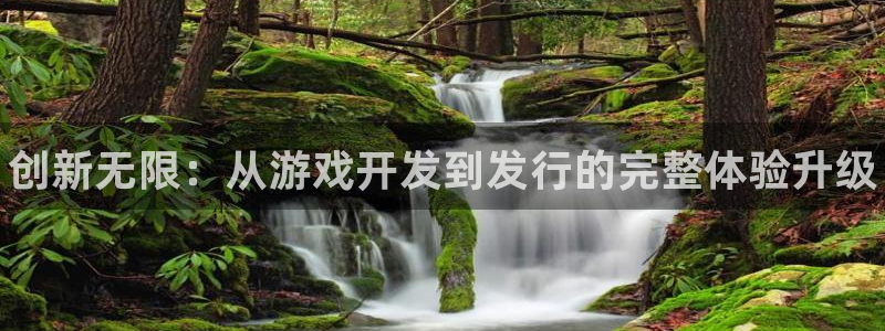 顺盈娱乐公司介绍图片大全：创新无限：从游戏开发到发行的完整体验升级