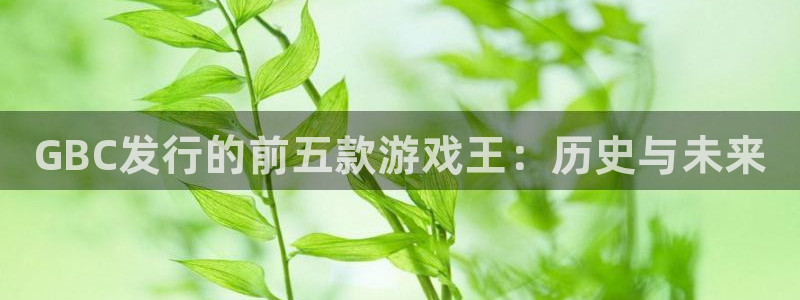 顺盈娱乐官网首页入口下载：GBC发行的前五款游戏王：历史与未来