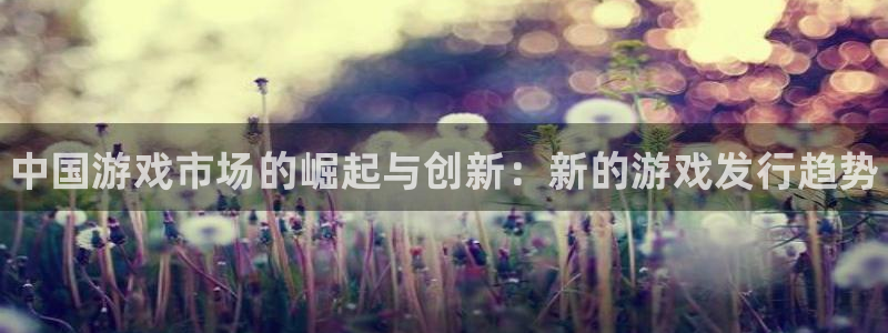 顺盈娱乐登录平台下载官网：中国游戏市场的崛起与创新：新的游戏发行趋势