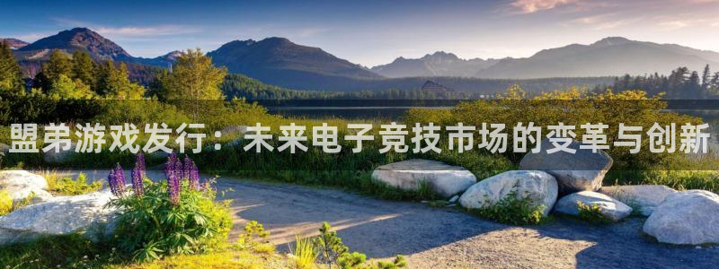 顺盈娱乐平台提现被关闭怎么回事啊苹果：盟弟游戏发行：未来电子竞技市场的变革与创新