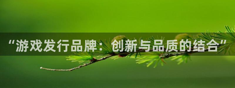 顺盈娱乐官网首页登录入口：“游戏发行品牌：创新与品质的结合”