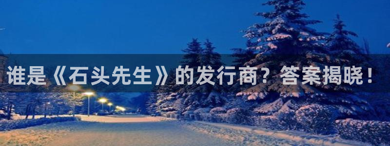 顺盈网络科技有限公司电话：谁是《石头先生》的发行商？答案揭晓！