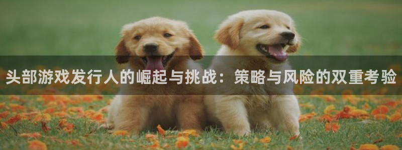 顺盈娱乐平台最新活动消息：头部游戏发行人的崛起与挑战：策略与风险的双重考验